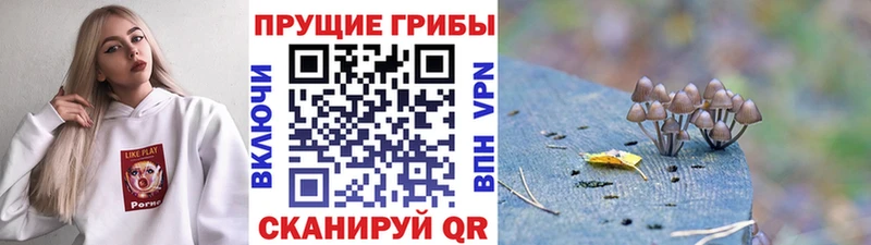 Псилоцибиновые грибы MAGIC MUSHROOMS  купить наркотик  Кстово 